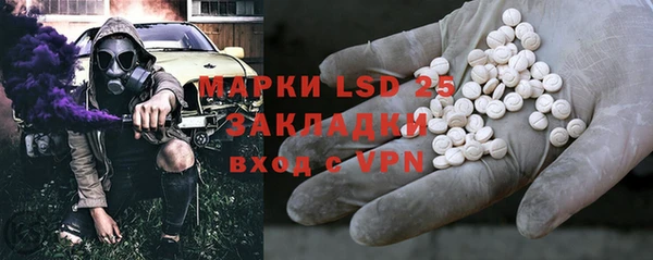 эйфоретик Аркадак